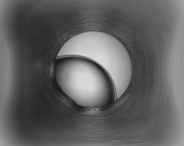 X0000099450288200805090733