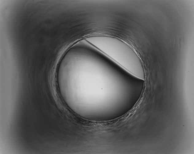 X0000099450289200805090733