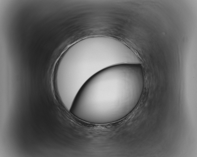 X0000099450290200805090733