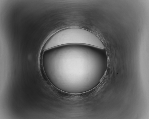 X0000099450292200805090733