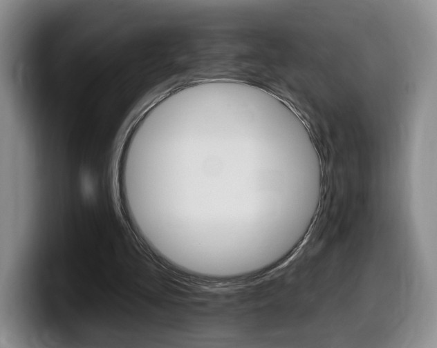 X0000099450293200805090733