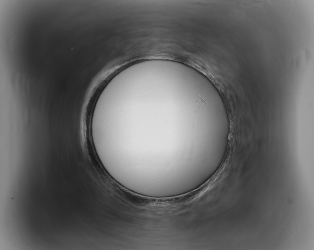 X0000099450294200805090733