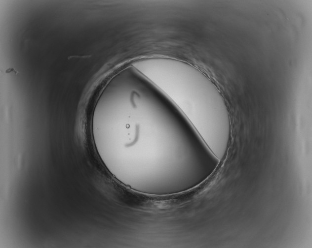 X0000099450295200805090733