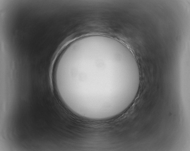 X0000099450296200805090733