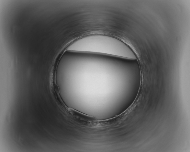 X0000099450297200805090733