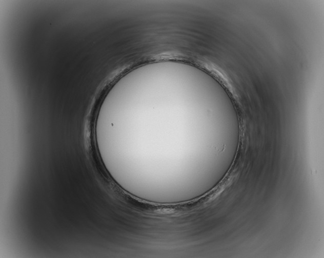 X0000099450298200805090733