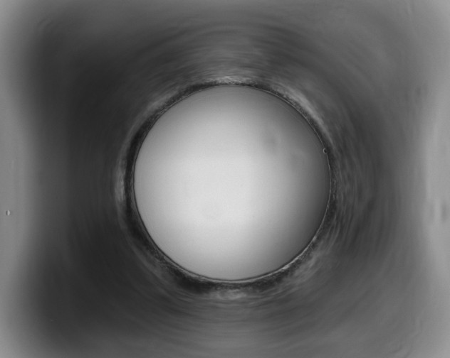 X0000099450299200805090733