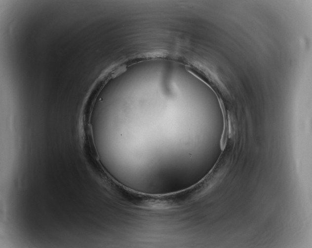 X0000099450300200805090733