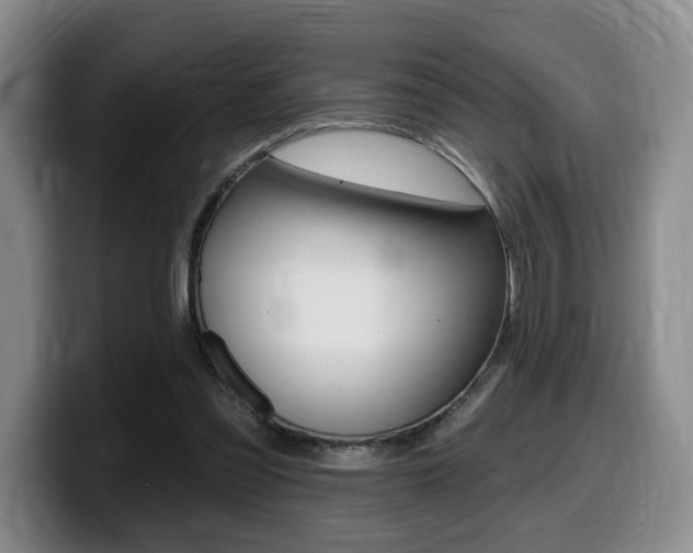 X0000099450301200805090733