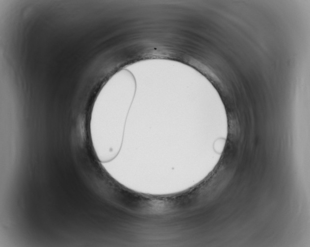 X0000099450302200805090733