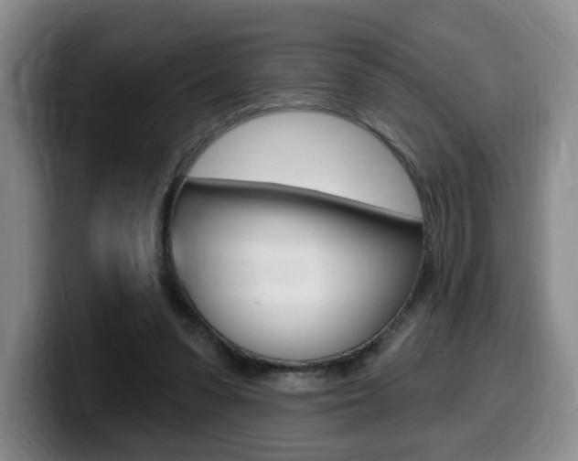 X0000099450303200805090733
