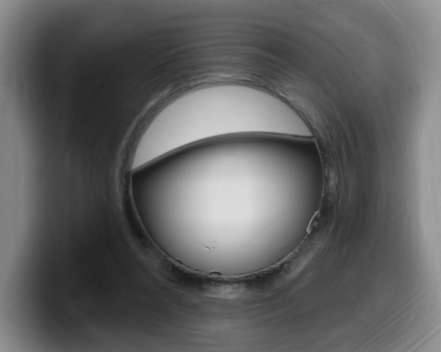 X0000099450304200805090733