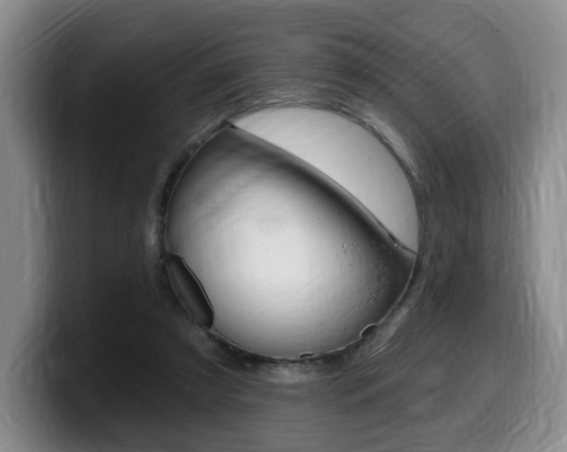 X0000099450305200805090733