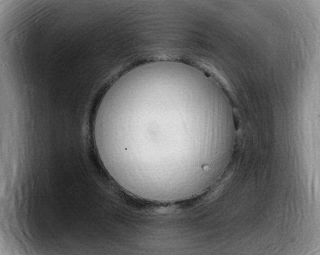 X0000099450306200805090733