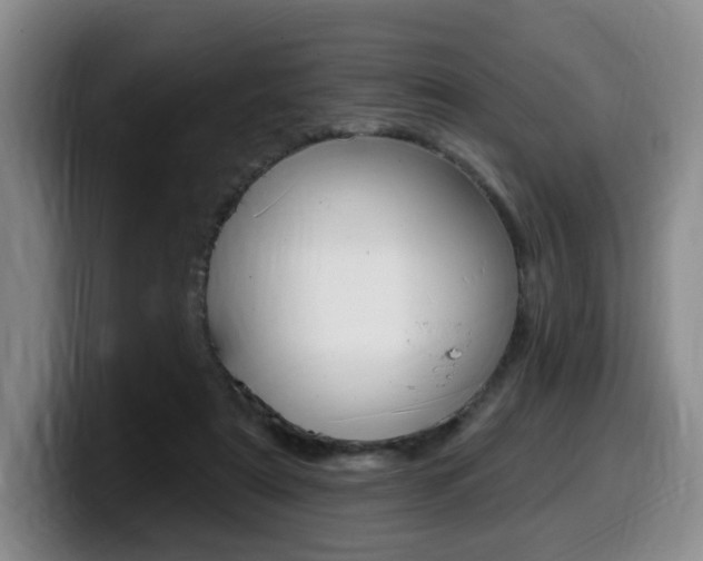 X0000099450307200805090733