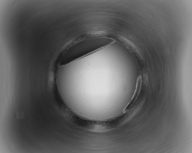 X0000099450308200805090733