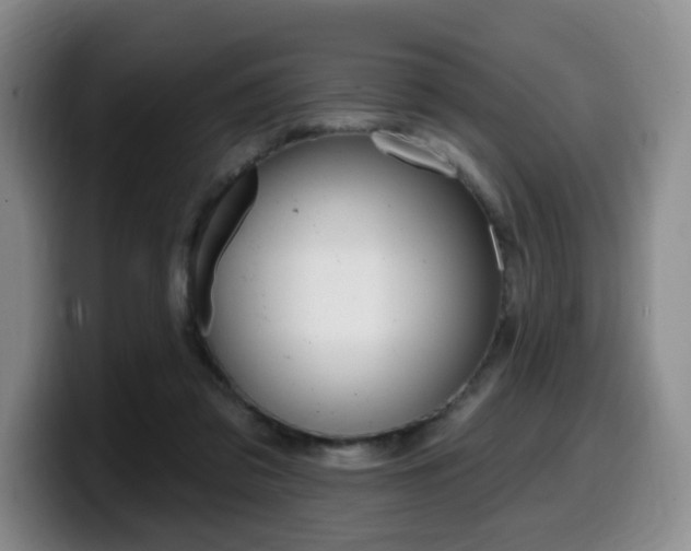 X0000099450309200805090733