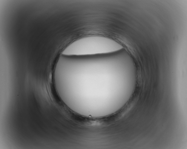 X0000099450310200805090733