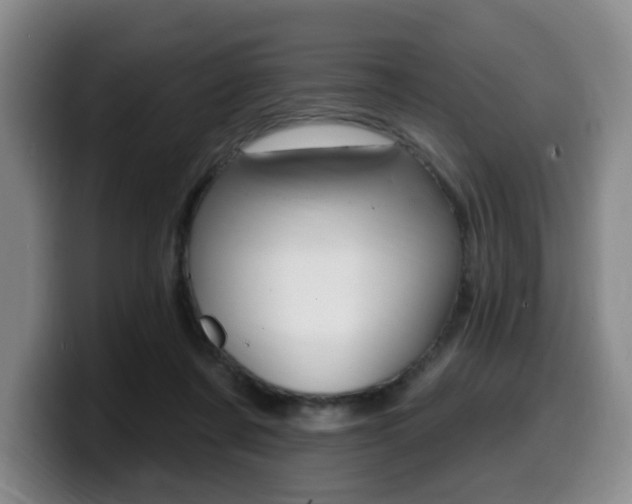 X0000099450311200805090733