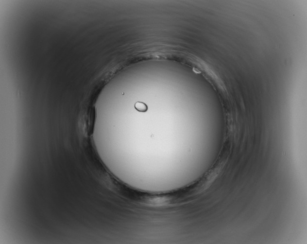 X0000099450313200805090733