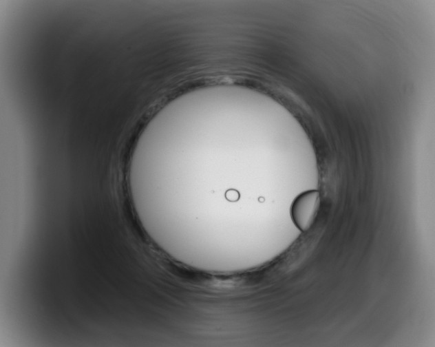 X0000099450314200805090732