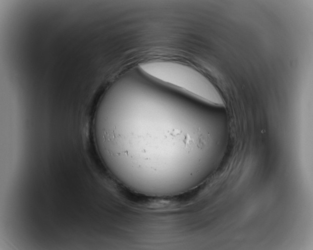 X0000099450315200805090732