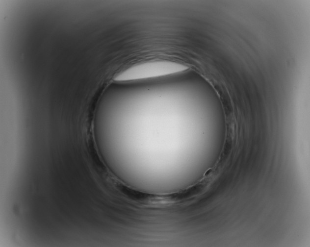 X0000099450316200805090732