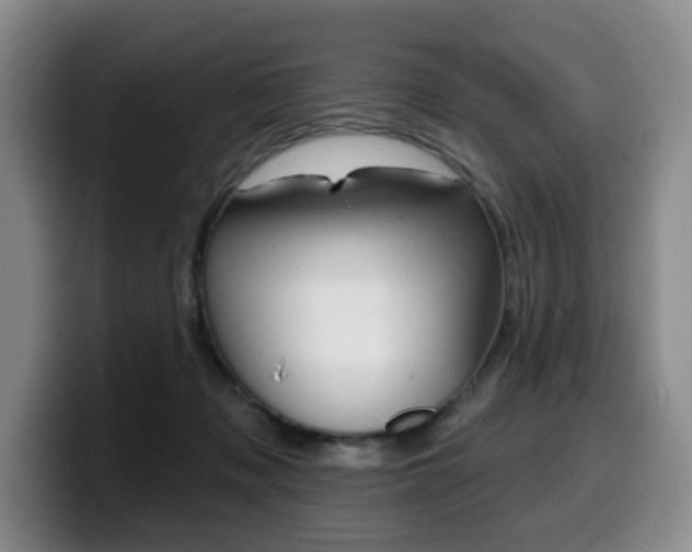 X0000099450317200805090732