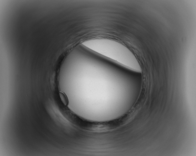 X0000099450319200805090732
