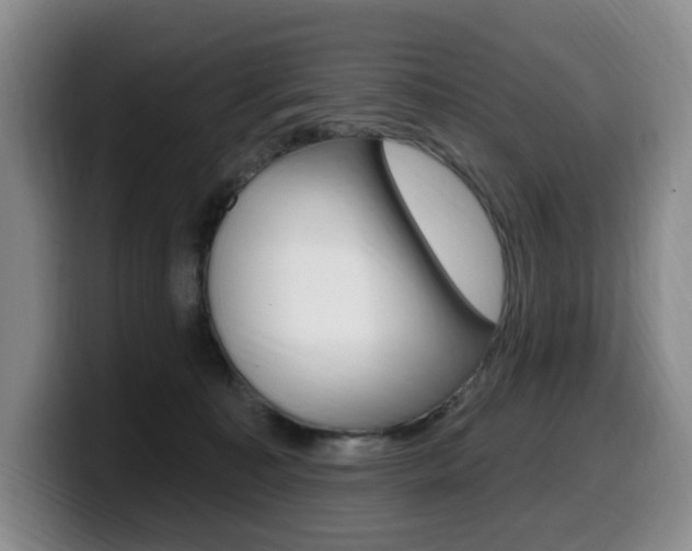 X0000099450323200805090732