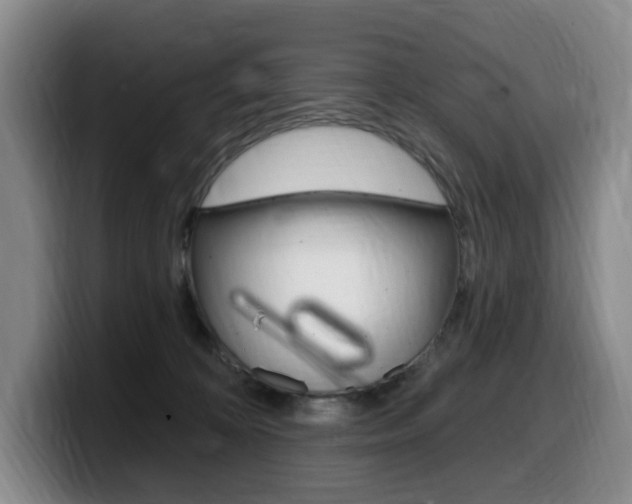 X0000099450324200805090732