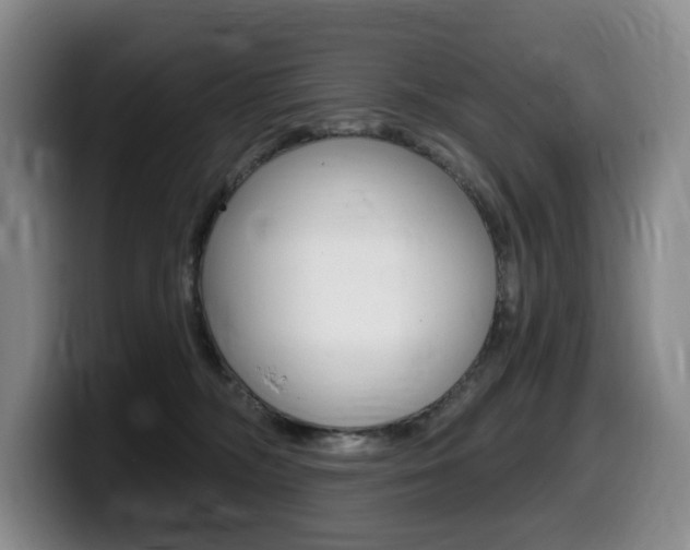 X0000099450326200805090732