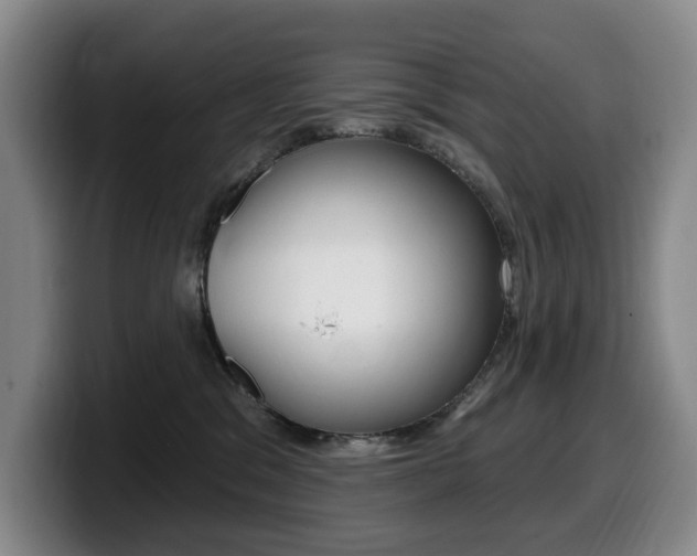 X0000099450329200805090732