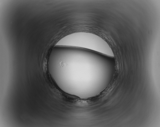 X0000099450332200805090732