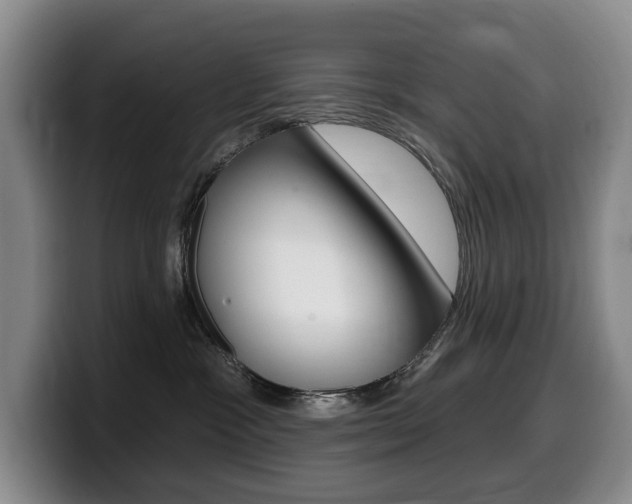 X0000099450333200805090732