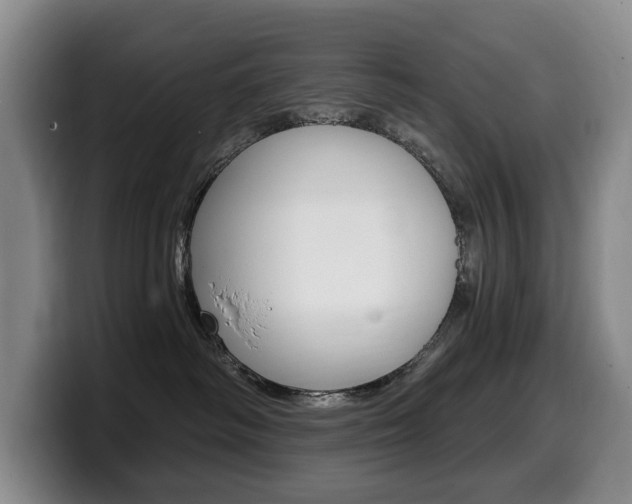 X0000099450334200805090732
