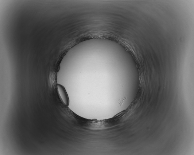 X0000099450335200805090732