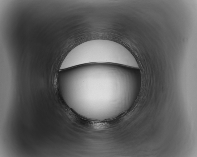 X0000099450336200805090732