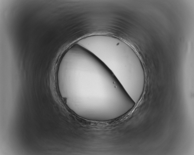 X0000099450337200805090732
