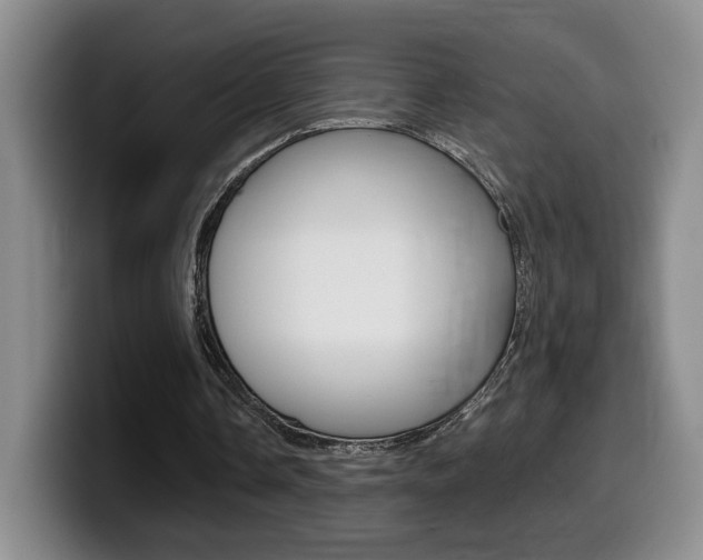 X0000099450338200805090732