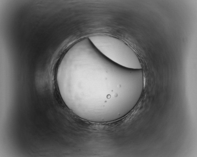 X0000099450339200805090732