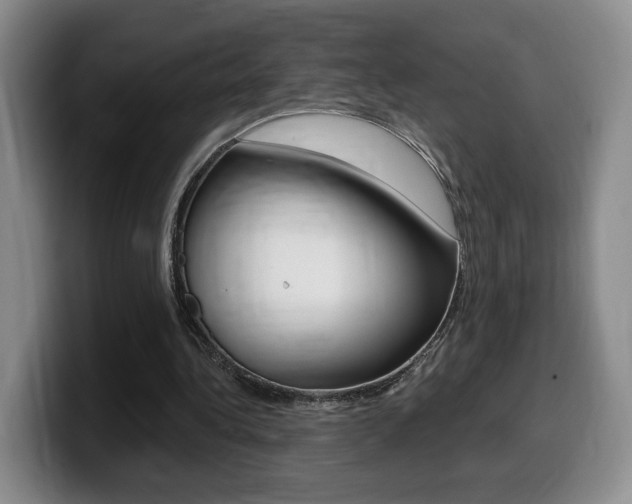 X0000099450340200805090732