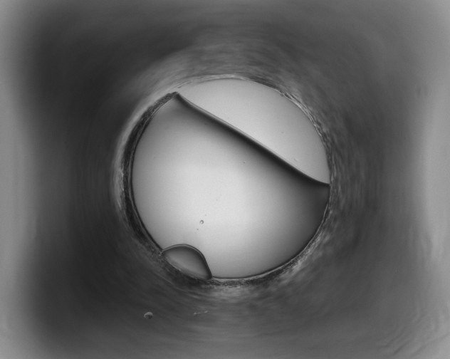X0000099450342200805090732
