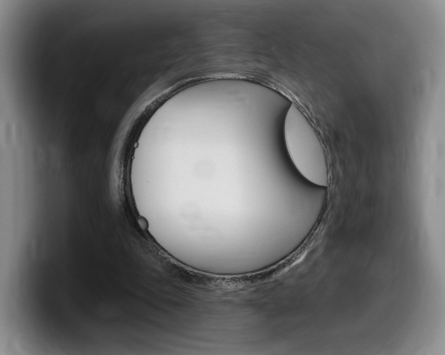 X0000099450343200805090732