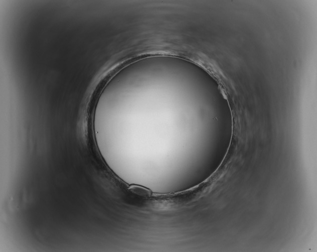 X0000099450344200805090732
