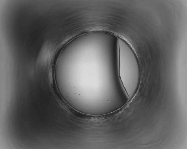 X0000099450345200805090732