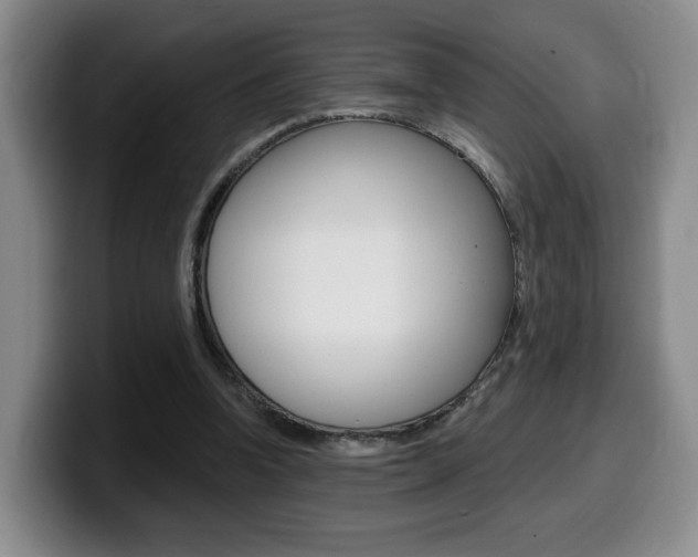 X0000099450346200805090732