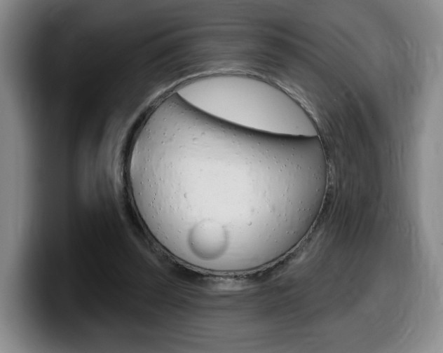 X0000099450347200805090732