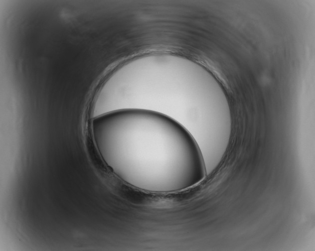 X0000099450348200805090732