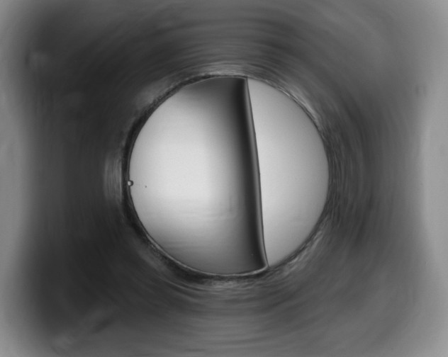 X0000099450349200805090732